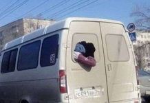 Юмористичные фотографии
