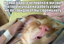 Забавные фото приколы
