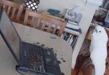 Прикольная фотоподборка