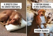 Свежие фото с приколами
