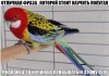 Смешные анекдоты-новинки