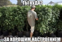 Смешные картинки с надписями