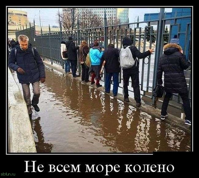 Демотиваторы со смыслом