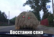Веселые снимки