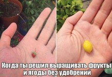 Забавные снимки