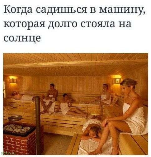 Забавные снимки