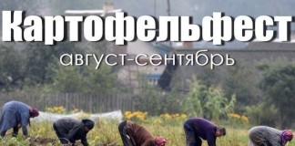 Новая порция анекдотов