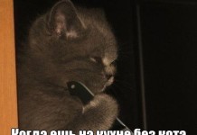 Прикольные картинки ))) # 10.08.2016