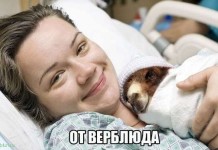 Картинки с надписями