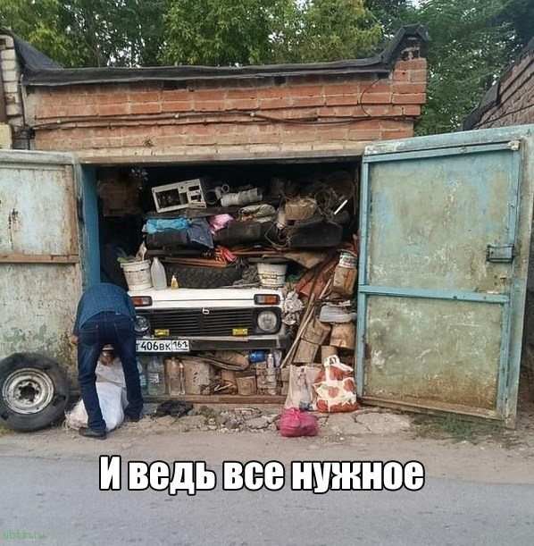 Прикольные картинки )))