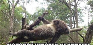 Новые анекдоты для всех