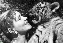Судьба укротительницы тигров Маргариты Назаровой