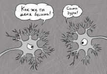 Буквальные приколы
