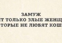 Прикольные картинки ))) # 11.11.2016