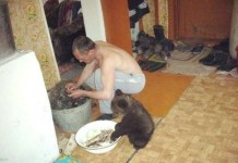 Фото с родных просторов