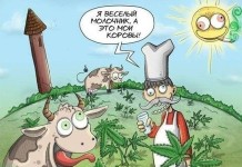 Смешные комиксы