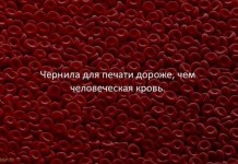 Факты для любознательных