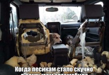 Прикольные картинки ))) # 15.12.2016