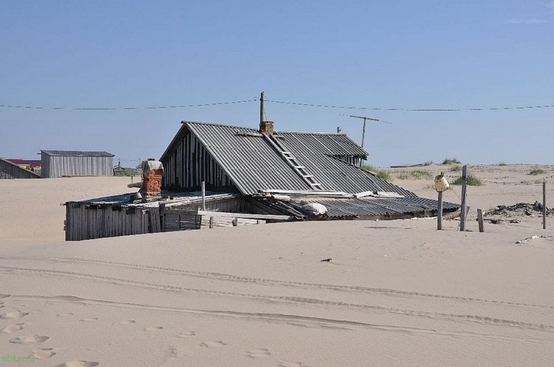 Шойна – русская деревня, утопающая в песках