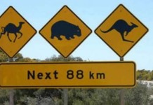 Самые необычные дорожные знаки мира