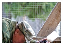 Костромская лосиная ферма