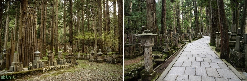 Окуноин: крупнейшее кладбище в Японии