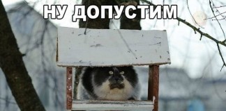 Анекдоты понедельника