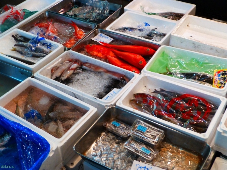 Цукидзи – крупнейший рыбный рынок мира