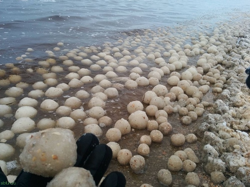 Необычные ледяные шары на озере Мичиган и на пляже Струми в Эстонии