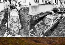 Неожиданные находки, которые люди обнаружили у себя во дворе