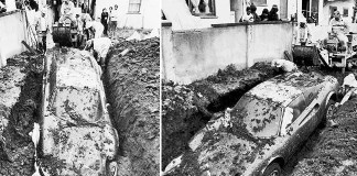 Неожиданные находки, которые люди обнаружили у себя во дворе