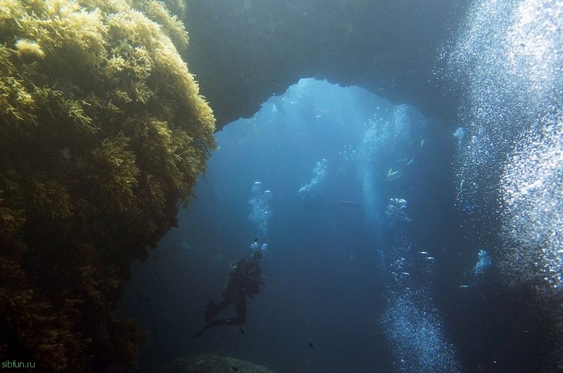 5 самых впечатляющих морских дыр