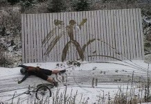 Неприятности в повседневной жизни