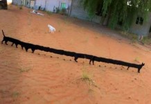 Прикольные панорамные снимки