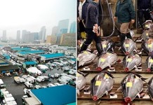 Цукидзи – крупнейший рыбный рынок мира