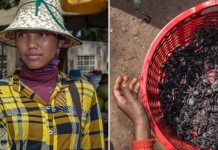 Охотники на тарантулов