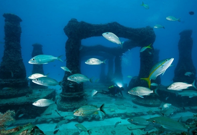 Кладбище дайверов «Подводный риф Нептуна»