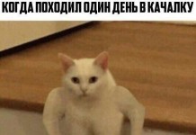 Прикольные картинки ))) # 16.02.2017