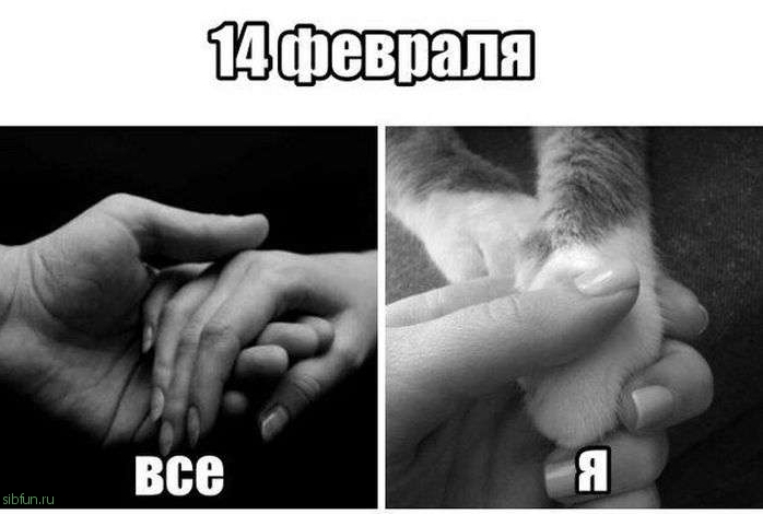 С днем Святого Валентина