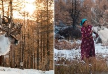 Один день жизни в монгольской семье оленеводов