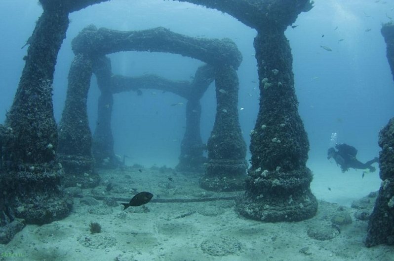 Кладбище дайверов «Подводный риф Нептуна»