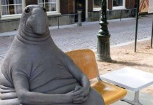 8 фактов о Ждуне от создательницы