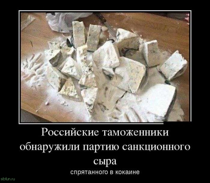 Демотиваторы