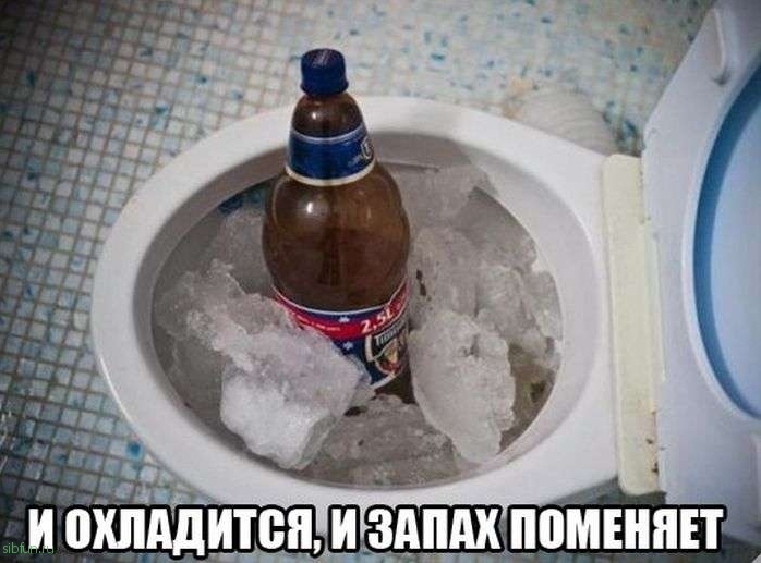 Забавные фото из России