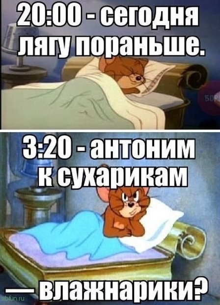 Прикольные картинки )))