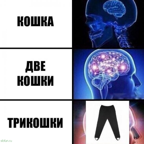 Прикольные картинки )))