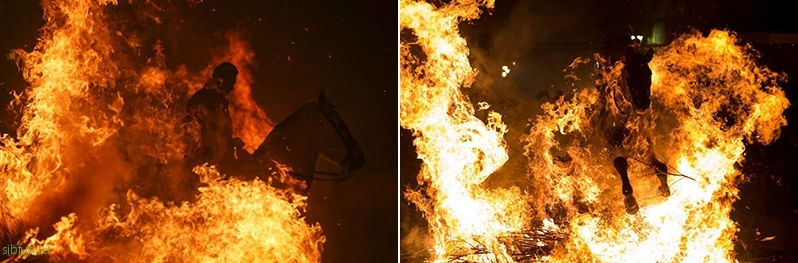 «Купание коней в огне» в день Святого Антония в Испании