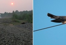 Самодеятельное путешествие тов. Сухова и группы «Бёрдинг в Удмуртии» к озеру Байкал и по Бурятии.