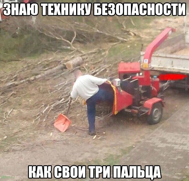 Прикольные картинки )))