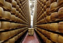 Необычные банки мира: сырный банк в Италии